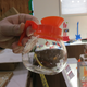 Image for article titled Behind the Scenes at the New York Gift Fair